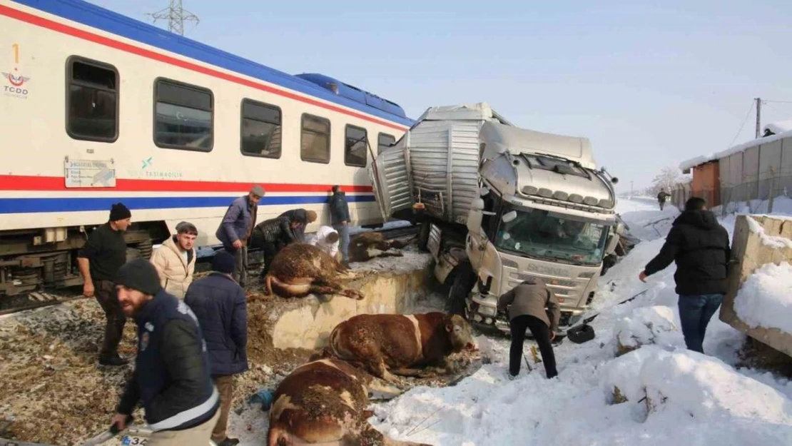 Hayvan yüklü tıra tren çarptı: 2 kişi hayatını kaybetti