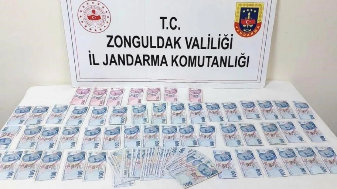 Hırsızlık zanlısı jandarma ekiplerince yakalandı