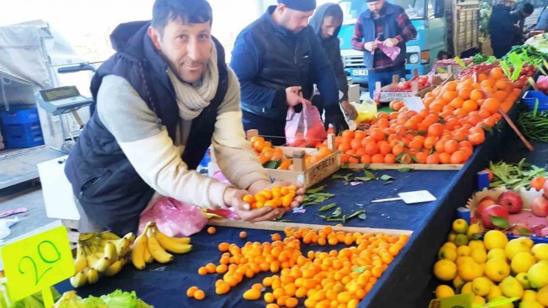 Hisarcık'ta şifa deposu Kamkat meyvesi rağbet görüyor