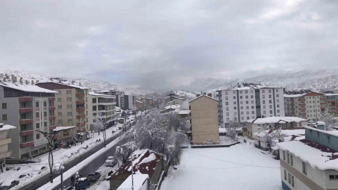 Hizan'da araçlar kara gömüldü