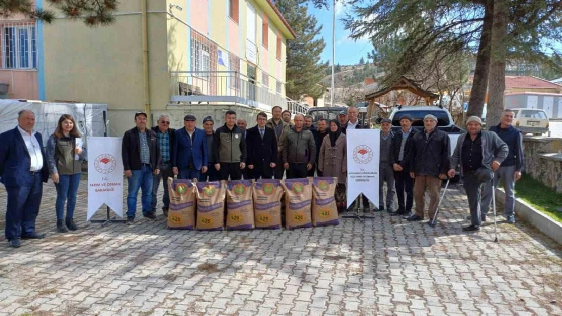 Hocalar ilçesinde 20 çiftçiye devlet destekli 2 ton korunga tohumu dağıtıldı