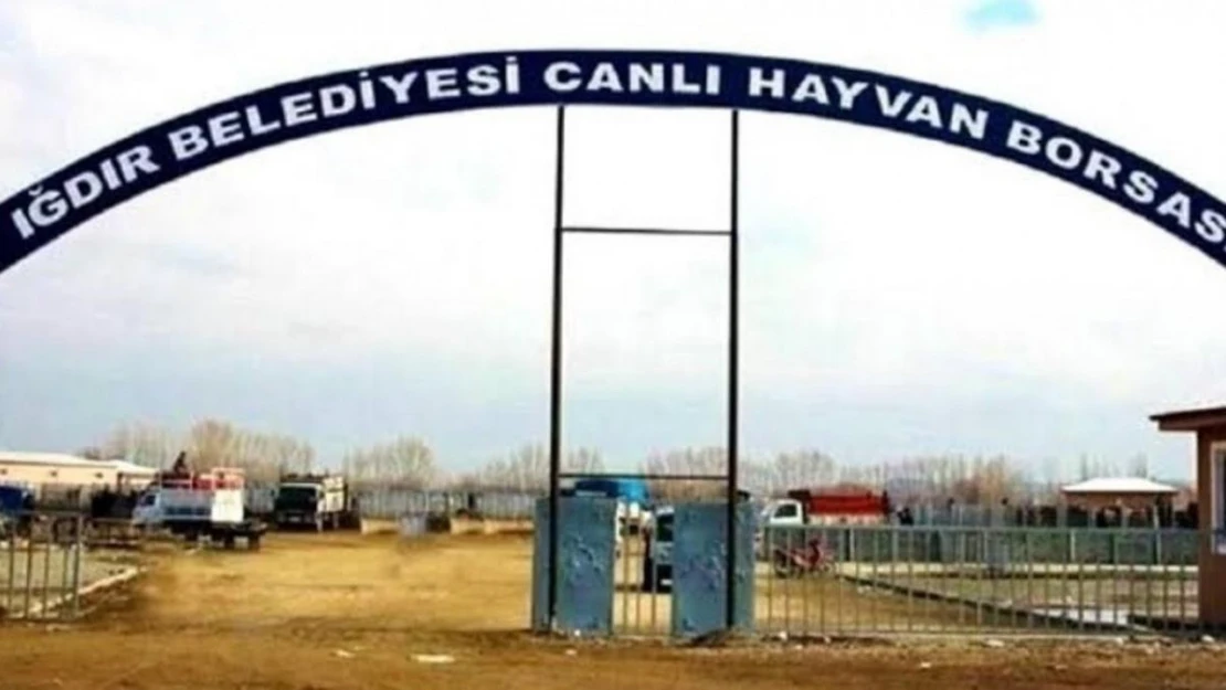 Iğdır Canlı Hayvan Borsası yarın açılıyor