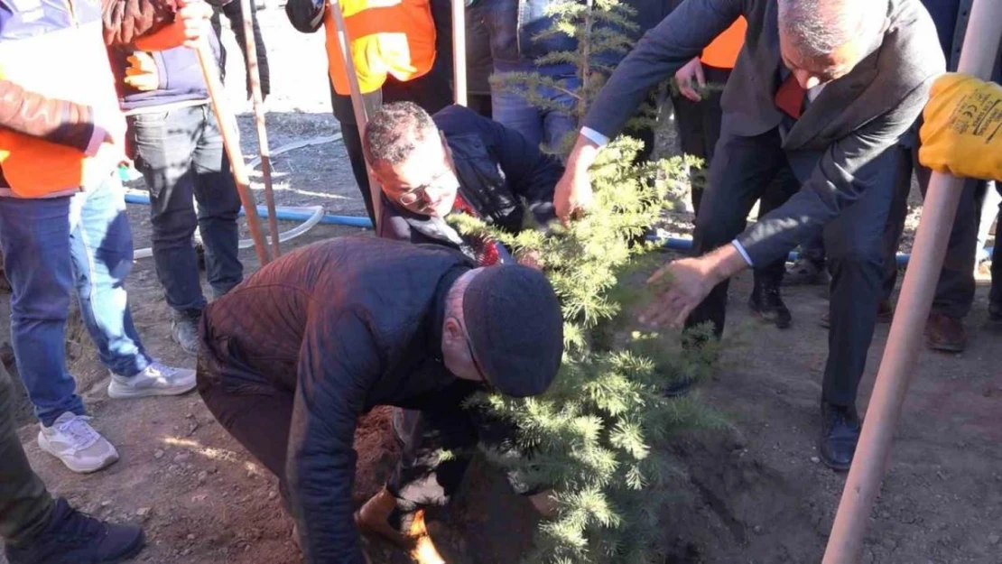 Iğdır'da ağaçlandırma seferberliği