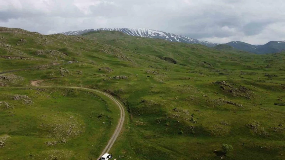 Iğdır'da dağlar yağmur sonrası yeşile büründü