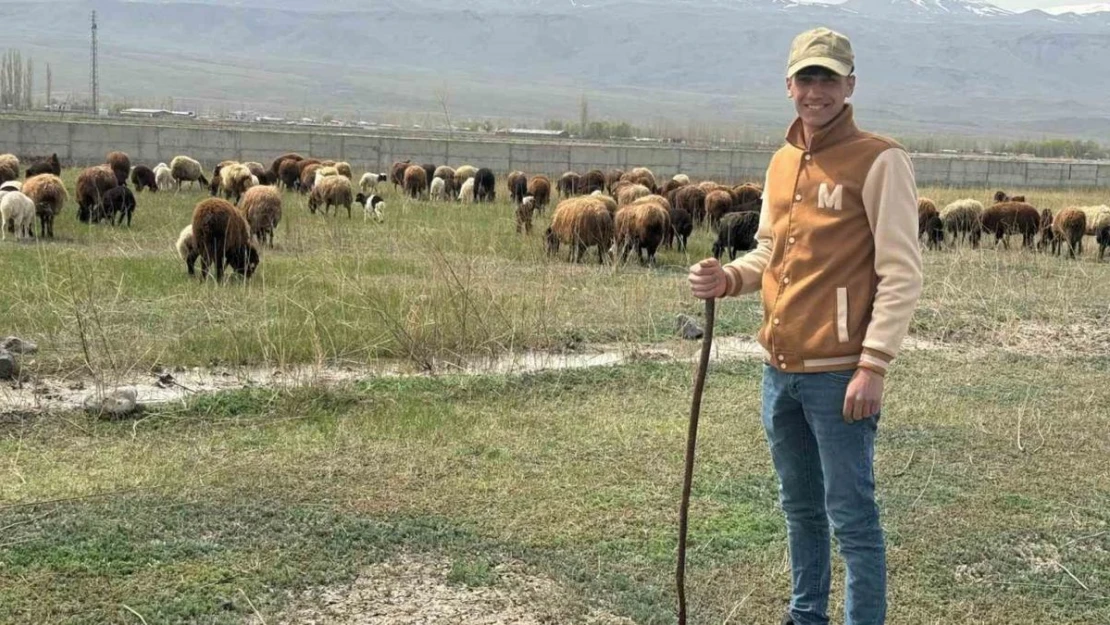 Iğdır'da hayvanlar meraya çıktı