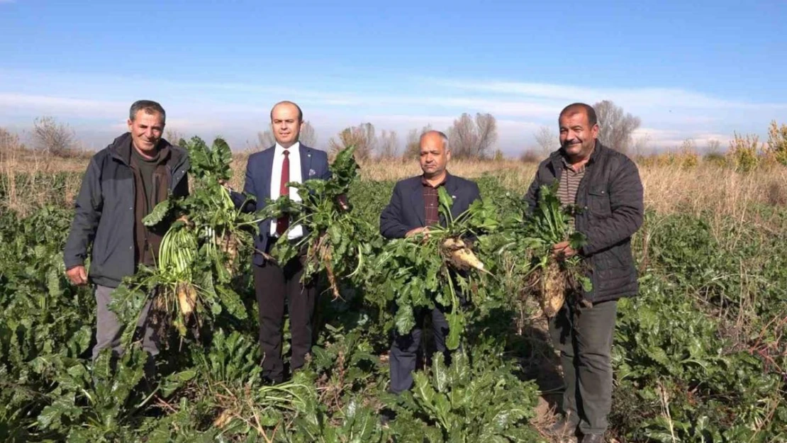 Iğdır'da şeker pancarı hasadı başladı