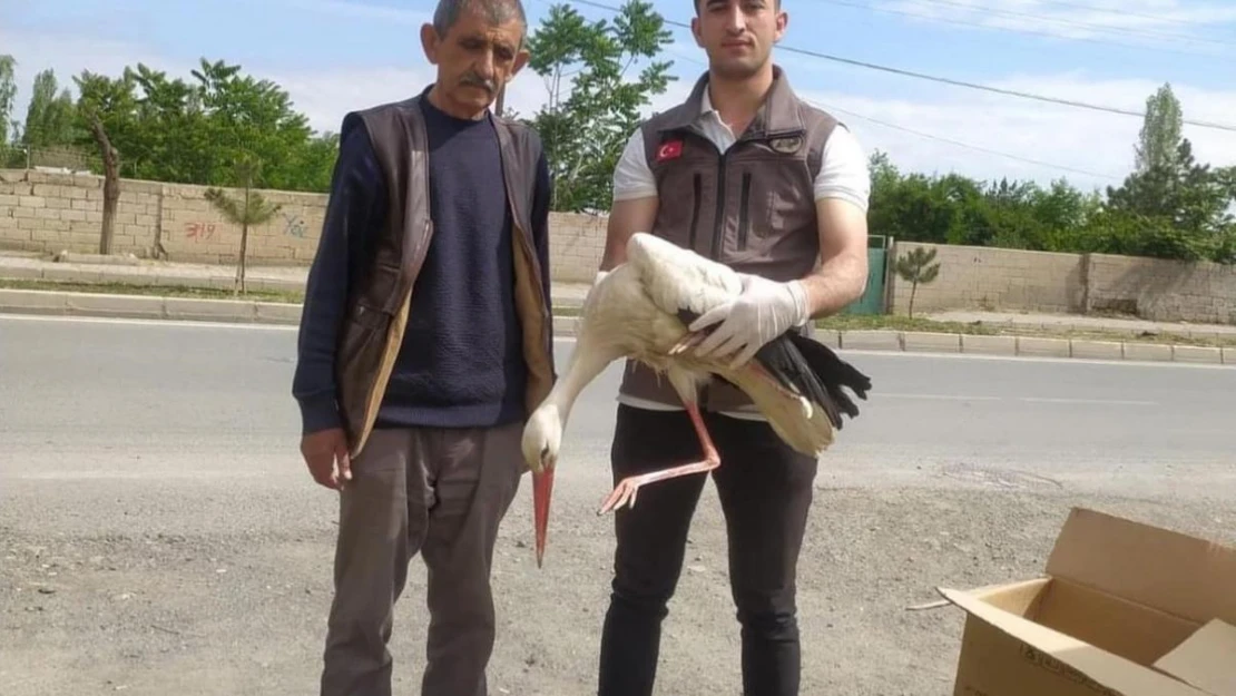 Iğdır'da yorgun düşen leylek bakıma alındı