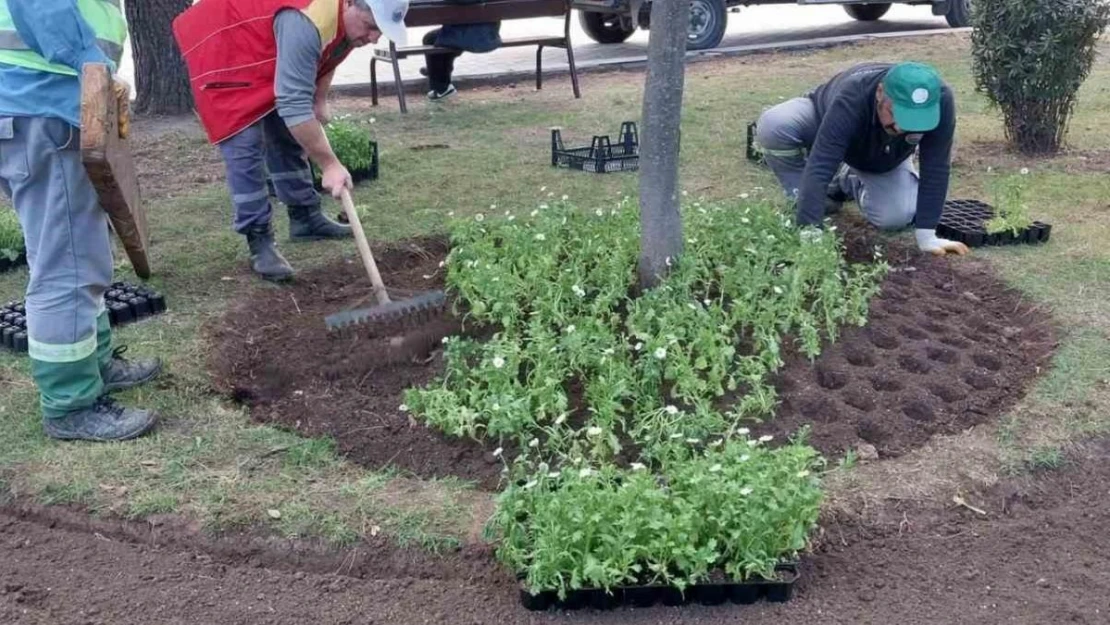 İlkadım'a 100 bin mevsimlik çiçek