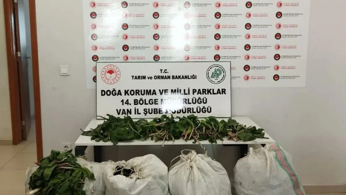 İran uyruklu 1 kişiye biyoçeşitliliği tahripten toplam 387 bin 141 lira ceza verildi