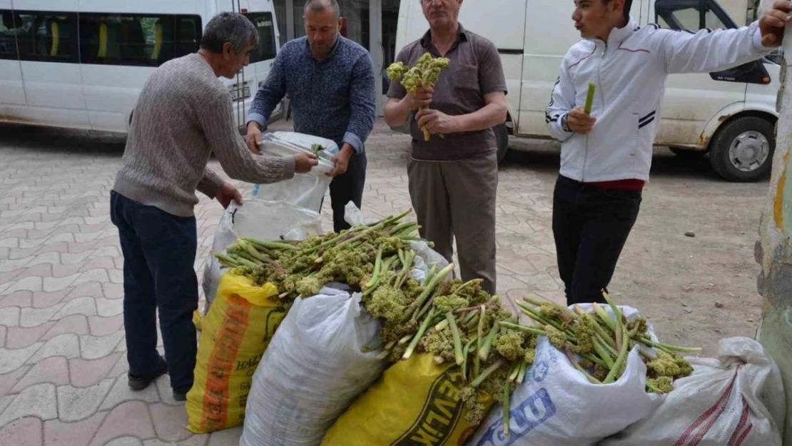 Işgın tezgahlardaki yerini aldı