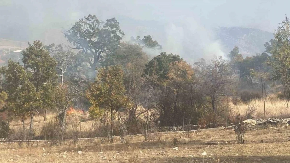 Isparta'da 10 dekar alan küle döndü