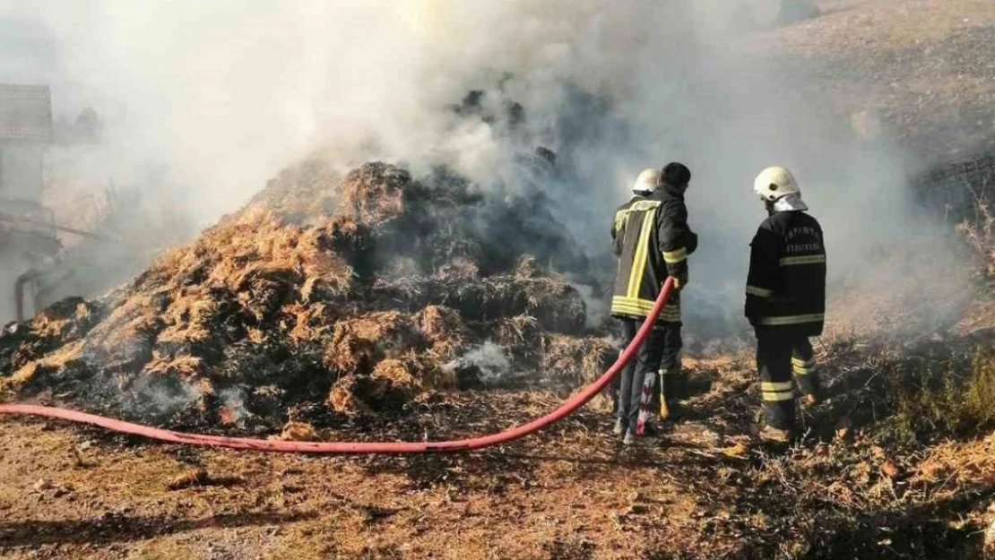 Isparta'da samanlık yangını korkuttu