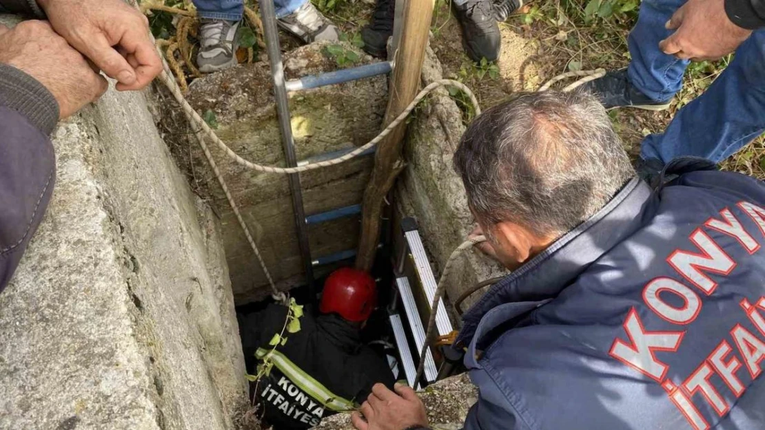 İtfaiyeden kuyudan koyun kurtarma operasyonu