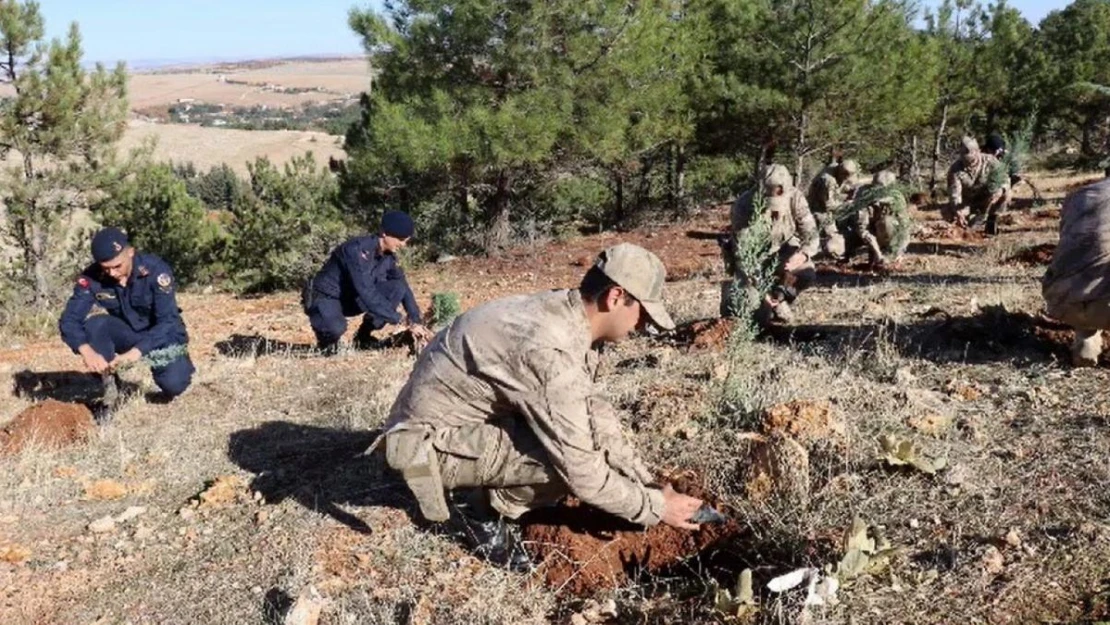 Jandarma 100. yıla özel 100 fidan dikti