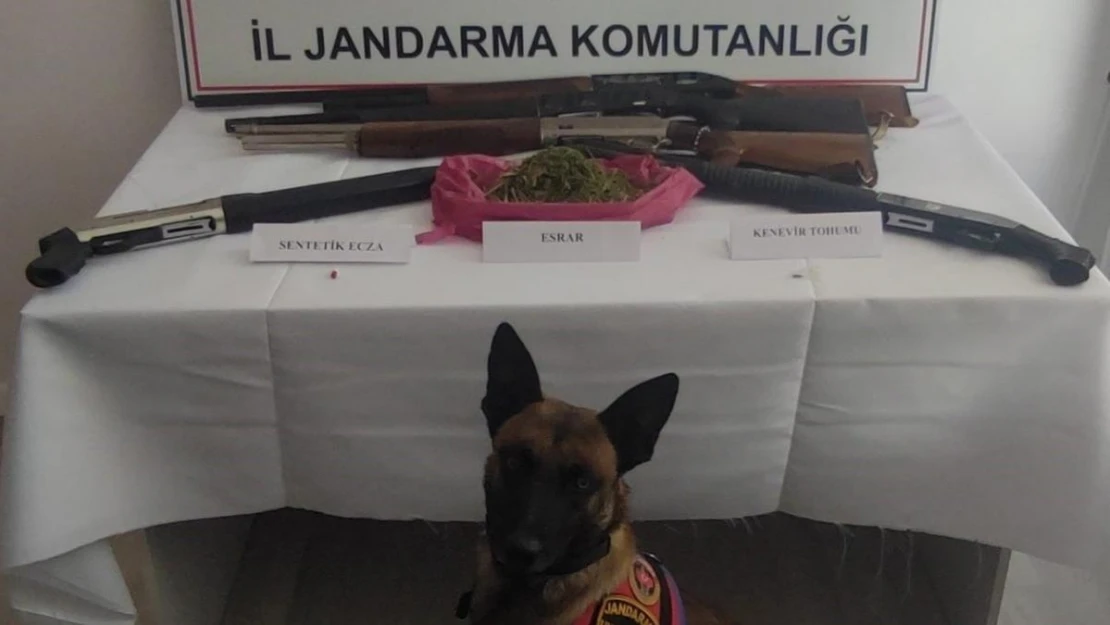 Jandarma baskın yaptığı evde 155 gram esrar ve 2 ruhsatsız av tüfeği ele geçirdi