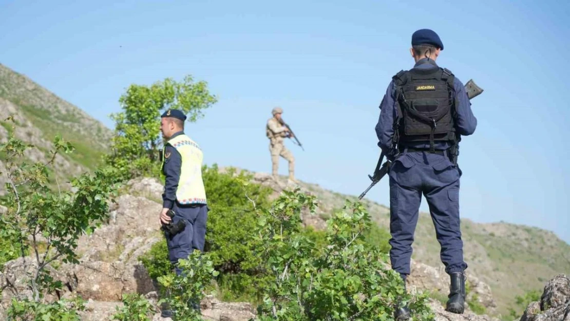 Jandarma ekipleri terörü bitirdikleri dağlarda şimdilerde ters lale nöbeti tutuyor