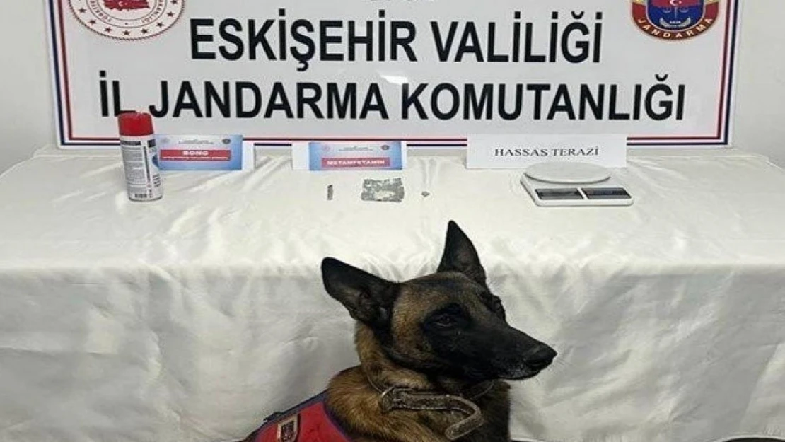 Jandarma ekiplerinden 8 ayrı uyuşturucu operasyonu