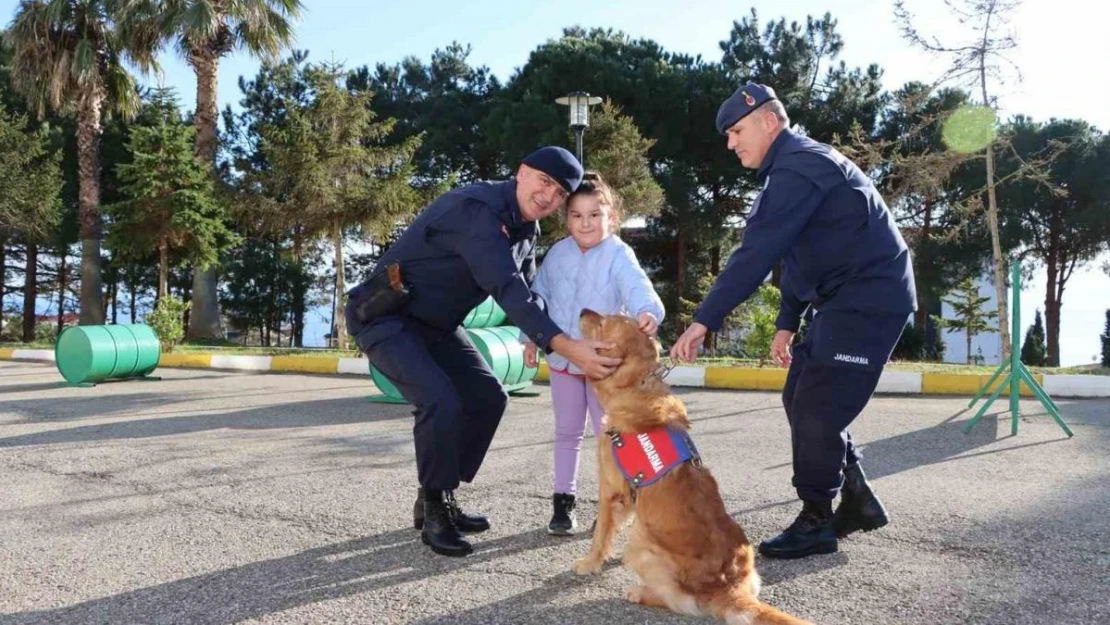 Jandarma köpeği Rio'dan miniklere gösteri