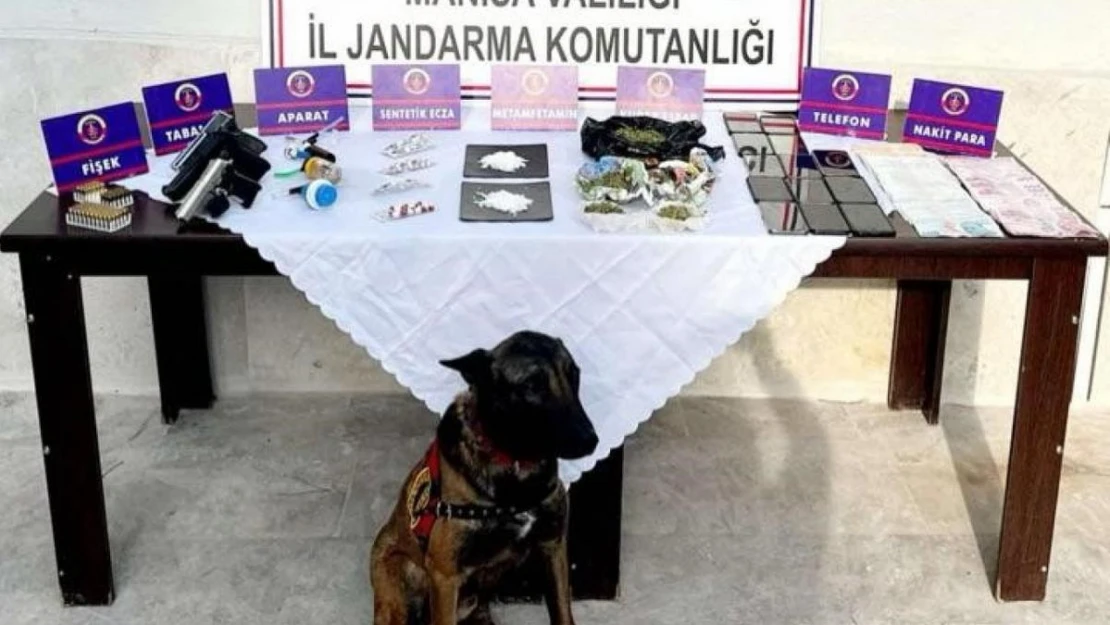 Jandarma Manisa'da zehir tacirlerine göz açtırmıyor: 62 gözaltı