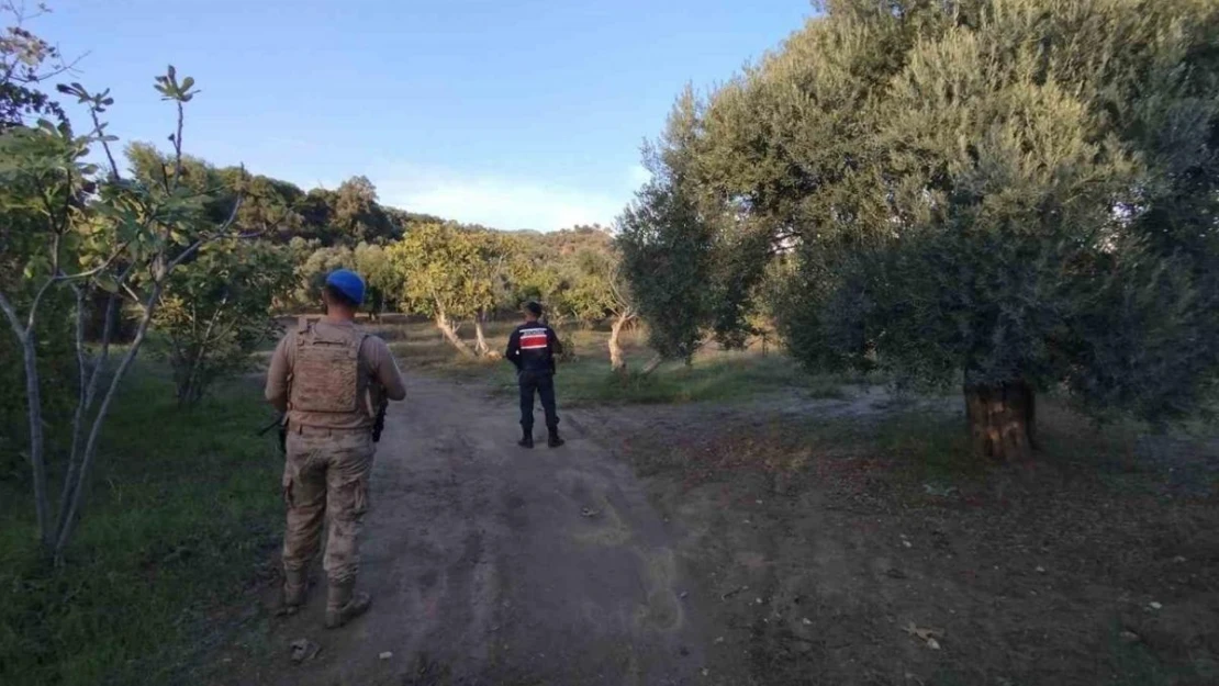 Jandarma tarımsal ürün hırsızlığına geçit vermiyor