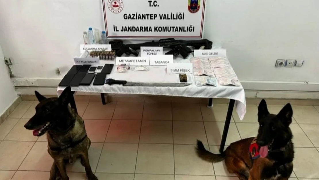 Jandarmadan Çobanlar Çetesi operasyonu: 6 gözaltı