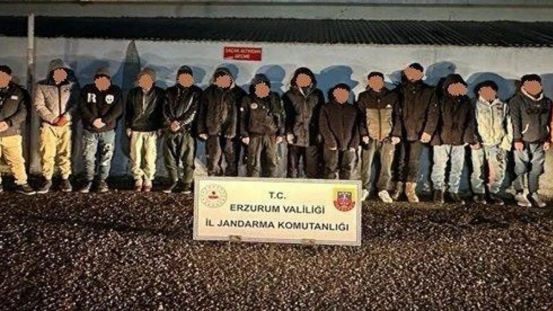 Jandarmadan kaçak göçmen operasyonu