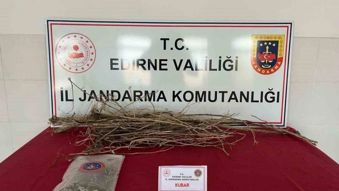 Jandarmadan uyuşturucu operasyonu: 2 kişi gözaltına alındı