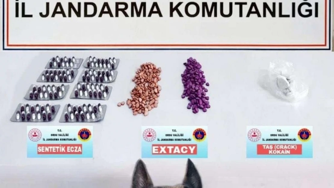 Jandarmanın uyuşturucu operasyonunda 1 tutuklama