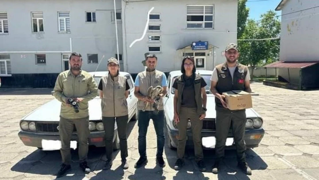 Kaçak avcıların aracına el konulup para cezası uygulandı