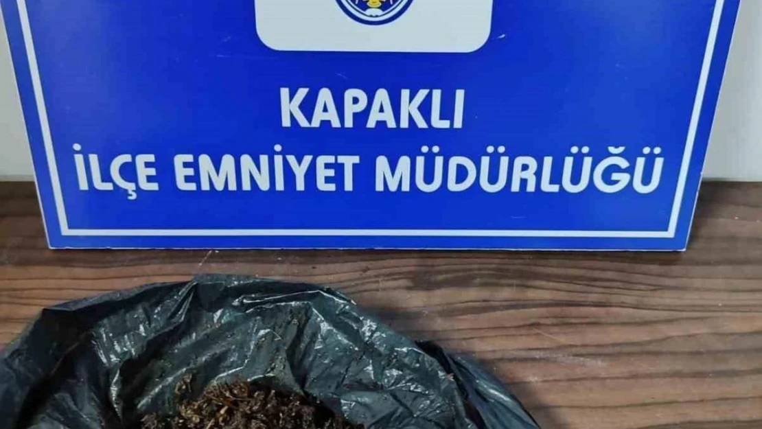 Kapaklı'da şüpheli şahsın üzerinden bonzai çıktı