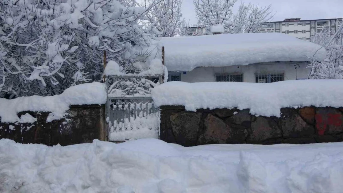 Kar Bitlis'i esir aldı