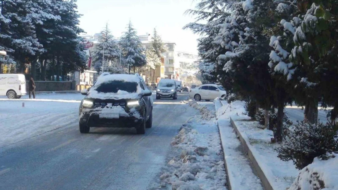 Kar yağışı Ahlat'ı beyaza bürüdü