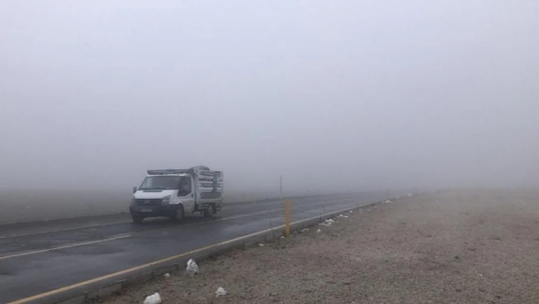 Kar yağışı ve sis ulaşımda aksamalara neden oldu