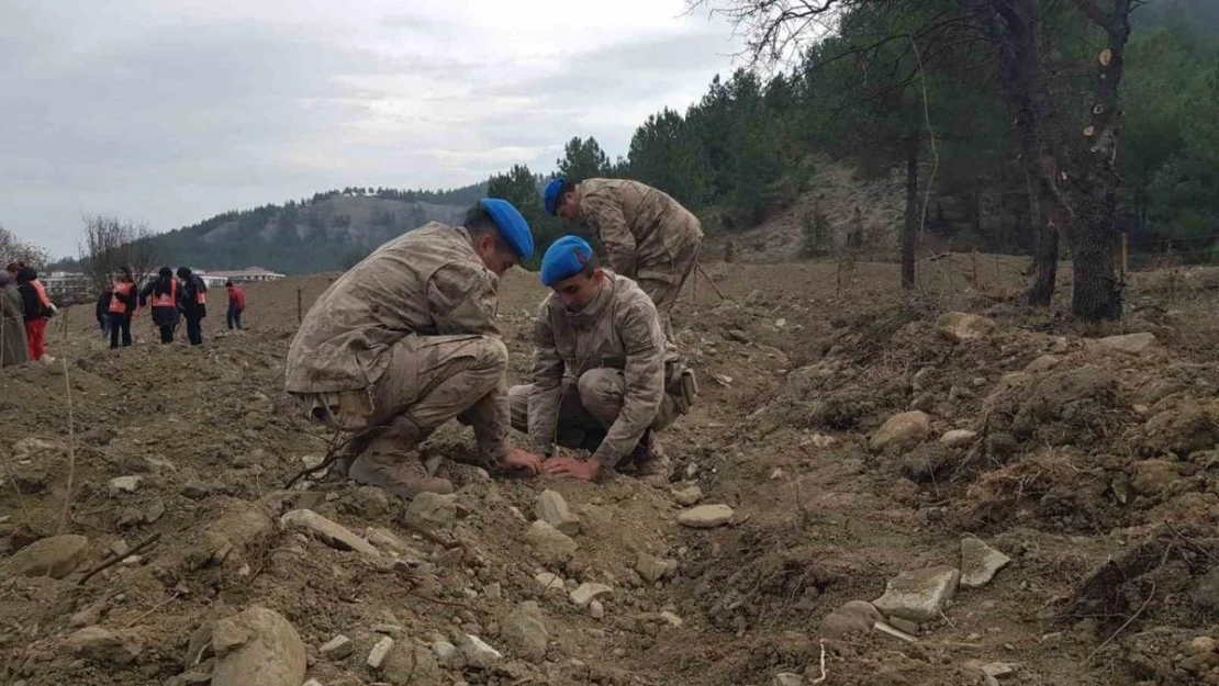 Karabük'te 41 noktada 52 bin 46 fidan toprakla buluşturuldu