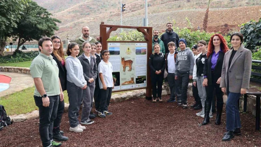 Karakulaklar'ın canı yanmayacak