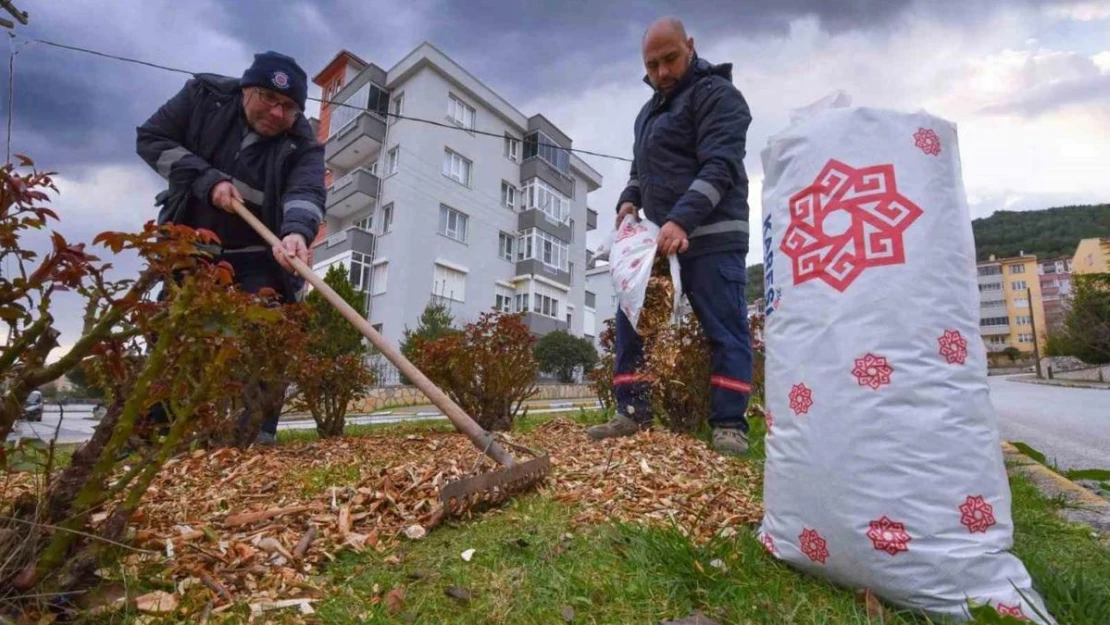 Karesi'de budanan dallar gübre oluyor