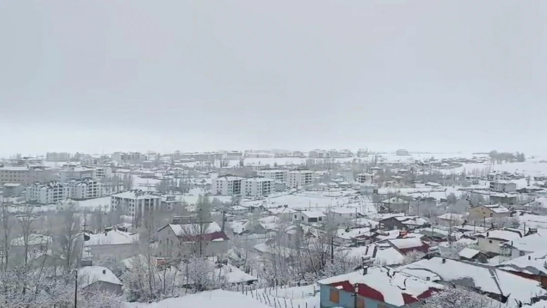 Karlıova'da kar yağışı etkisini sürdürüyor