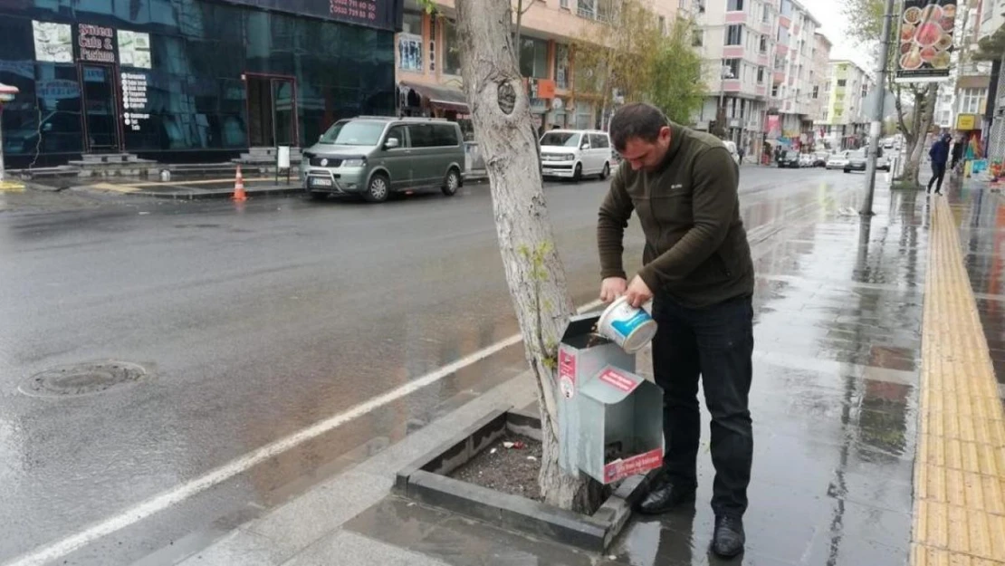 Kars Belediyesi 130 noktada sokak köpeklerinin beslenmesini sağlıyor