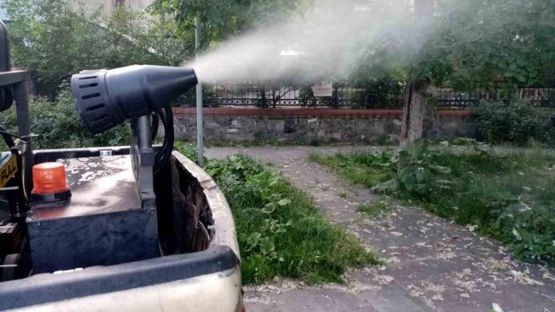 Kars Belediyesi ilaçlama yapıyor