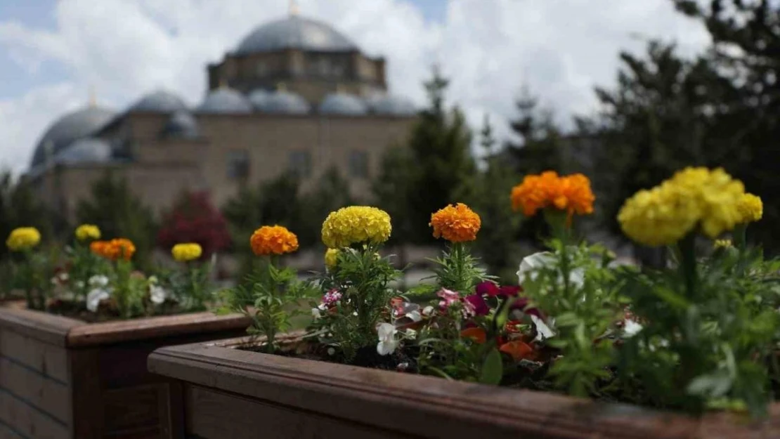 Kars Belediyesi'nden çevre düzenlemesi