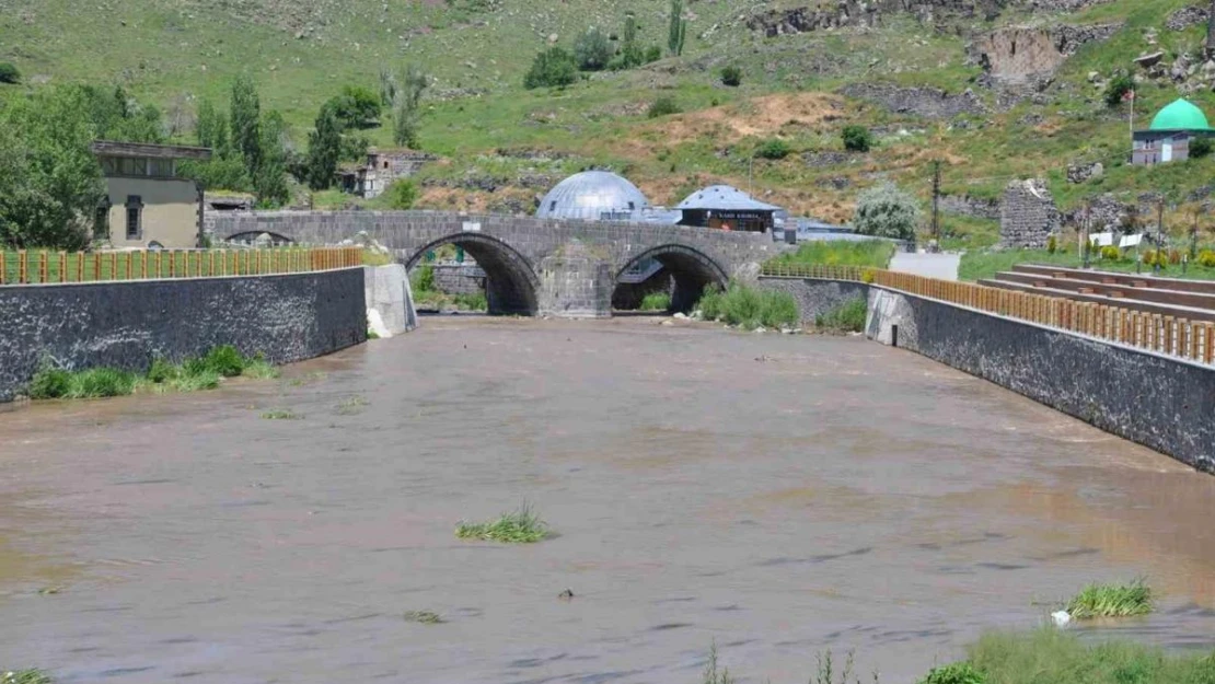 Kars Çayı'nın rengi değişti