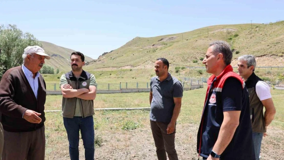 Kars hayvancılığında 'Hastalıktan Ari İşletme' dönemi başlıyor