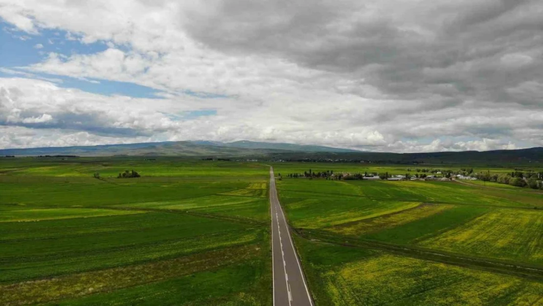 Kars rengarenk çiçek açtı