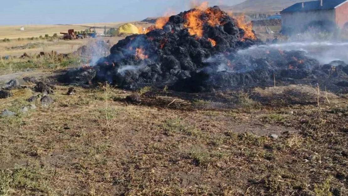 Kars'ta 20 ton ot yanarak kül oldu