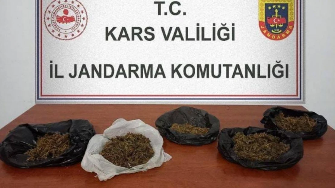 Kars'ta 700 gram bonzai ele geçirildi