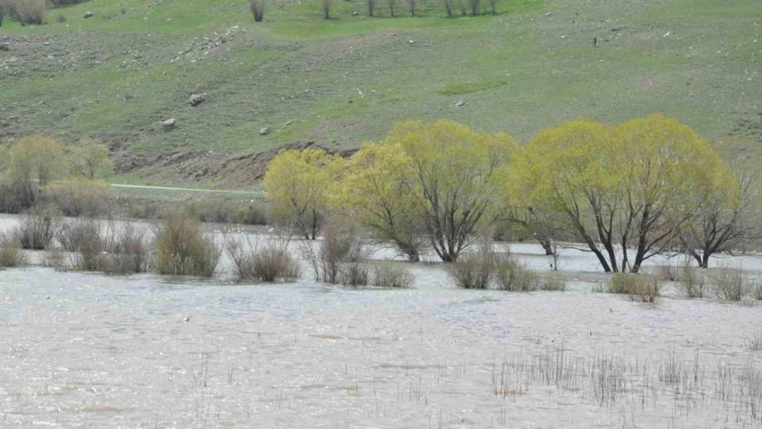 Kars'ta ağaçlar baraj suları altında kaldı