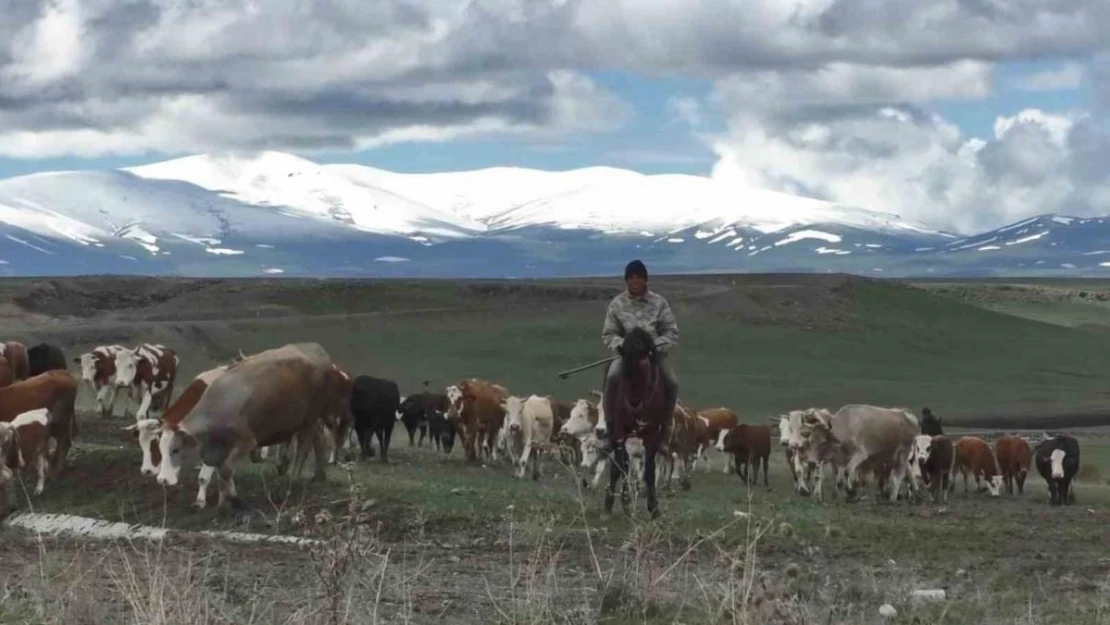 Kars'ta dağların zirvesi mayısta beyaza büründü