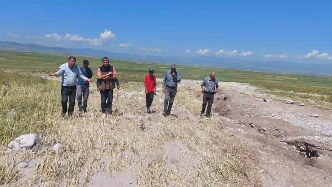 Kars'ta ekili araziler yağmurdan zarar gördü