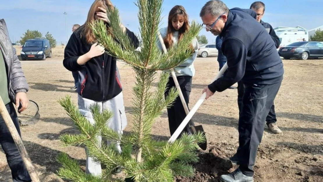 Kars'ta fidanlar toprakla buluşturuldu