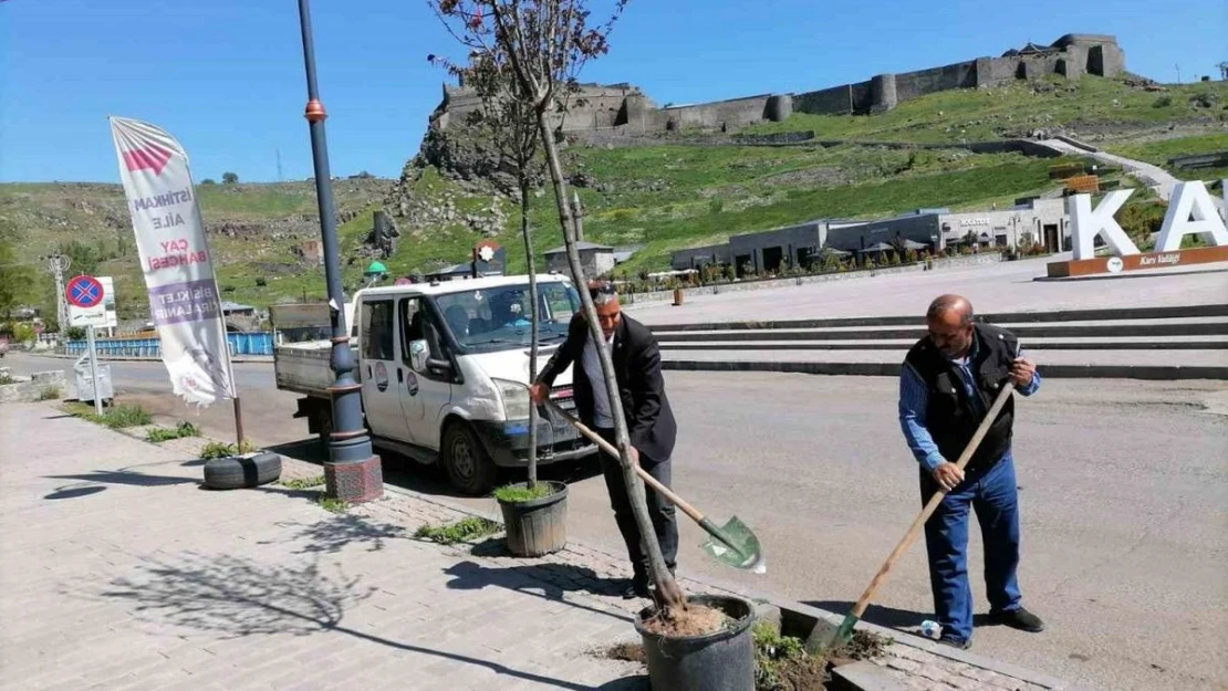 Kars'ta kuruyan ağaçlar değiştiriliyor